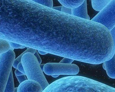 阴道分泌物香蕉福利视频厂家提醒细菌性阴道炎注意些什么？