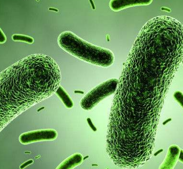 阴道分泌物香蕉福利视频浅析霉菌性阴道炎的危害性