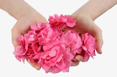 全自动阴道分泌物香蕉福利视频的安装和校准