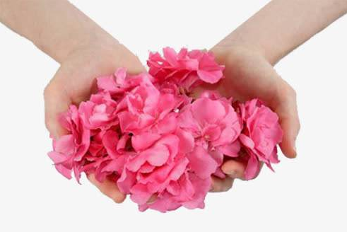 白带香蕉福利视频解析白带有排毒的功效