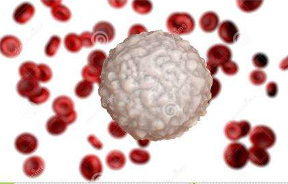 白带香蕉福利视频生产厂家提醒白带常规检查白细胞