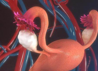 全自动白带常规香蕉福利视频厂家提醒注意这4种妇科疾病