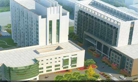 白带常规香蕉视频免费APP排名前十品牌山东香蕉视频官网与涡阳县人民医院合作