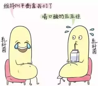 阴道分泌物香蕉视频免费APP诊断阴道微生态状态的常用方法