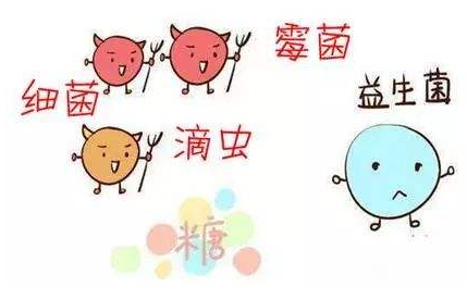 全自动阴道分泌物香蕉福利视频厂家解析引起阴道炎的根本原因