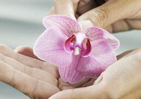 妇科阴道炎香蕉视频免费APP厂家阐述霉菌性阴道炎危害