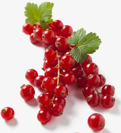 妇科六联检全自动仪器厂家香蕉视频官网助你消炎排毒，远离妇科病