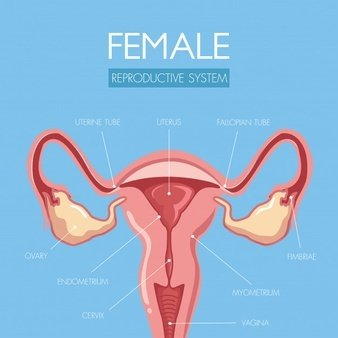 阴道分泌物香蕉福利视频提醒女人婚后得了妇科病做到这5点，发炎不来扰