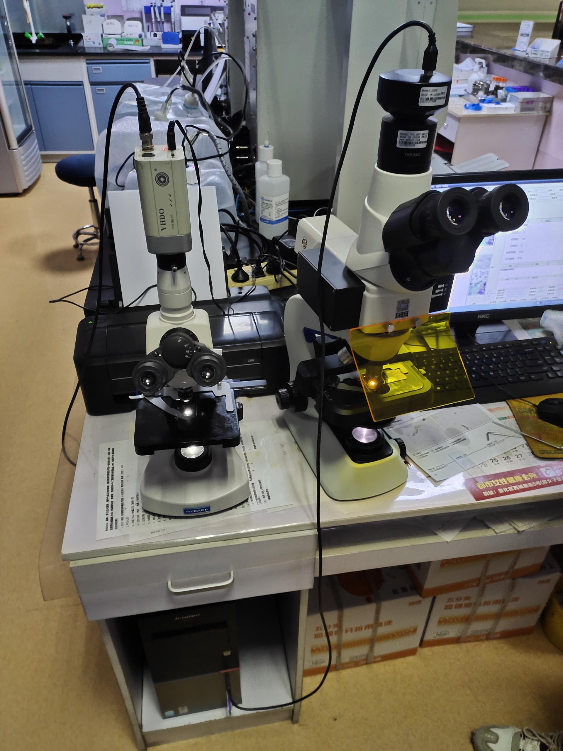 山东香蕉视频官网阴道分泌物香蕉福利视频全面检测，妇科健康保驾护航！