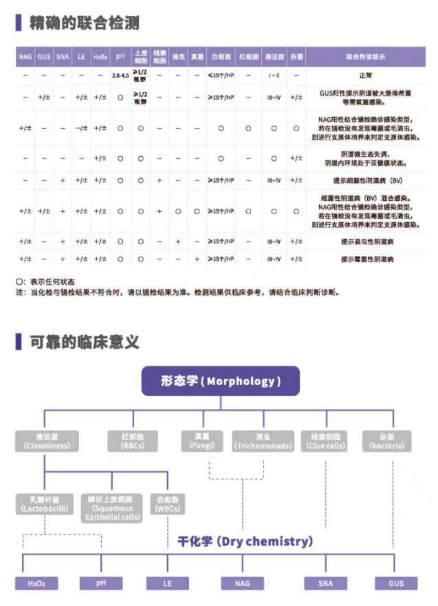 阴道分泌物香蕉视频免费APPV800精确的联合检测