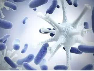 【妇科白带香蕉视频免费APP品牌】：女性患霉菌性阴道炎的缘由！ 