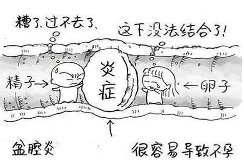 全自动妇科阴道分泌物香蕉视频免费APP检测辨别妇科炎症复杂多样！